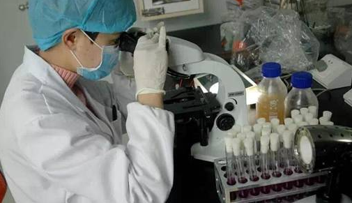 1503043748923160.png 13.png